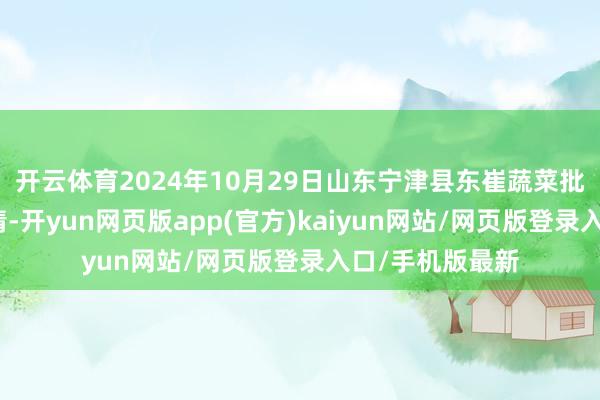 开云体育2024年10月29日山东宁津县东崔蔬菜批发市集价钱行情-开yun网页版app(官方)kaiyun网站/网页版登录入口/手机版最新