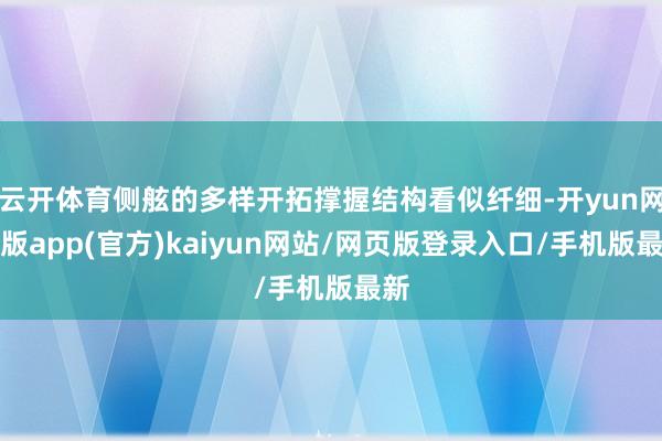 云开体育侧舷的多样开拓撑握结构看似纤细-开yun网页版app(官方)kaiyun网站/网页版登录入口/手机版最新